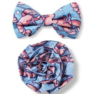 NWT Vineyard Vines for Target Lobster Pet Accessories